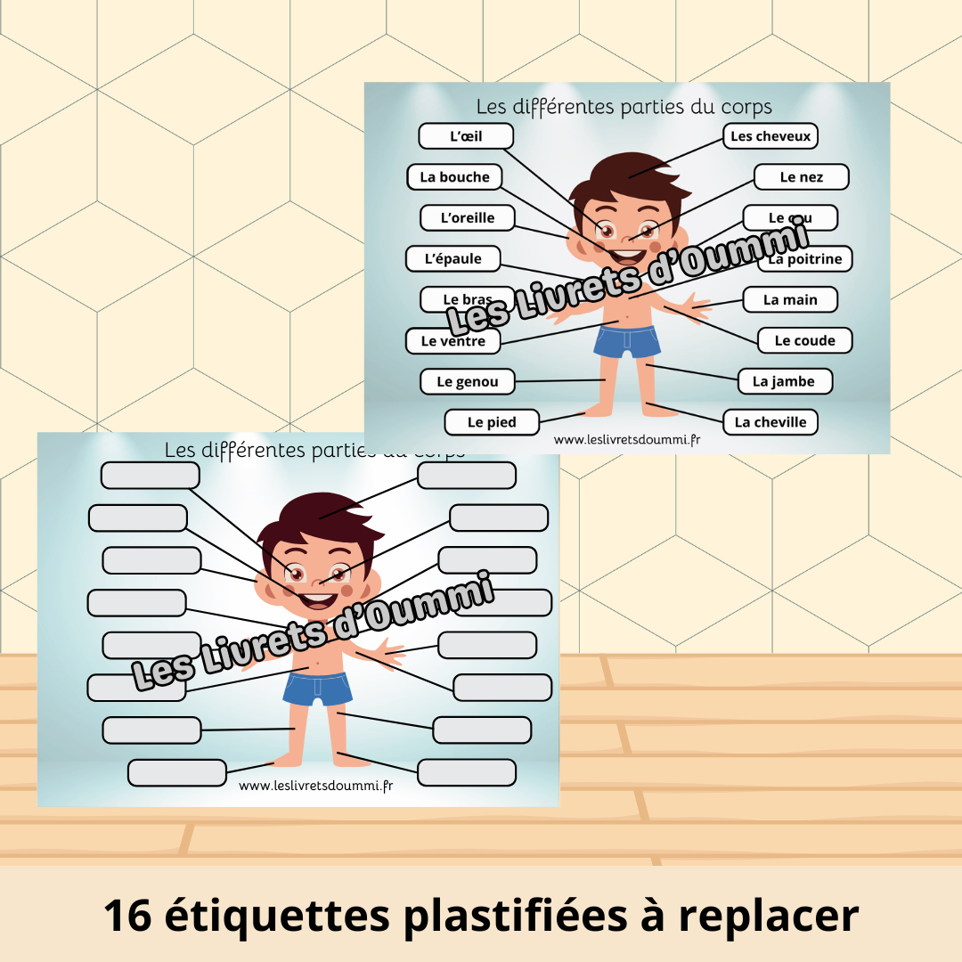 J'apprends les parties du corps - Fiche plastifiée