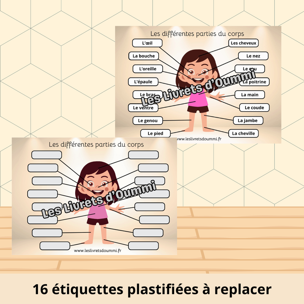 J'apprends les parties du corps - Fiche plastifiée